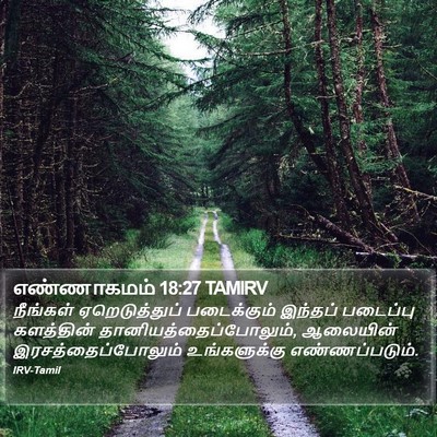 எண்ணாகமம் 18:27 TAMIRV Bible Verse Image