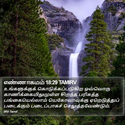 எண்ணாகமம் 18:29 TAMIRV Bible Verse Image