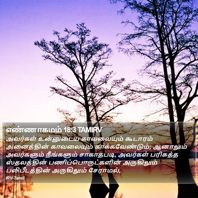 எண்ணாகமம் 18:3 TAMIRV Bible Verse Image