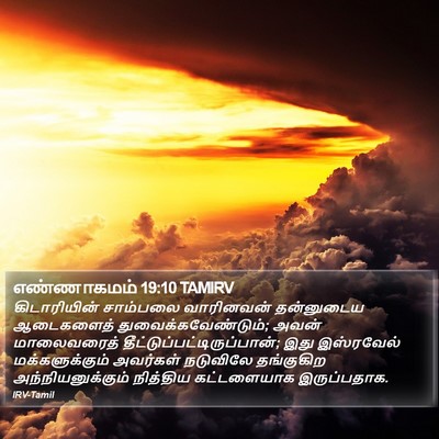 எண்ணாகமம் 19:10 TAMIRV Bible Verse Image
