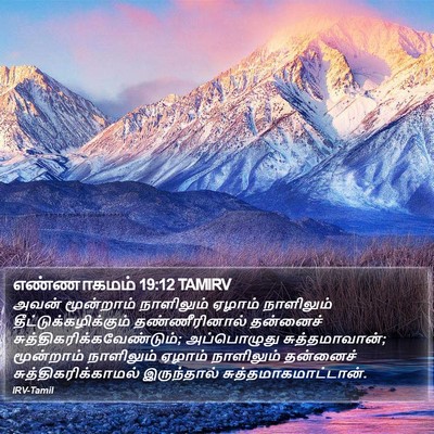 எண்ணாகமம் 19:12 TAMIRV Bible Verse Image