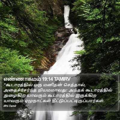 எண்ணாகமம் 19:14 TAMIRV Bible Verse Image