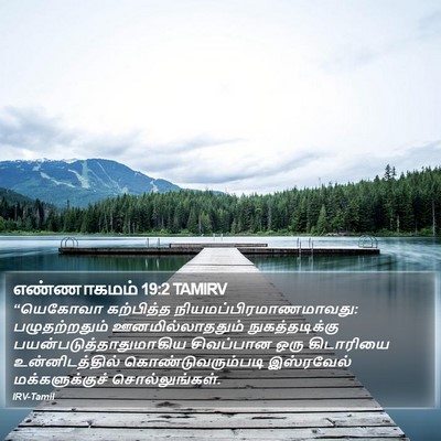 எண்ணாகமம் 19:2 TAMIRV Bible Verse Image