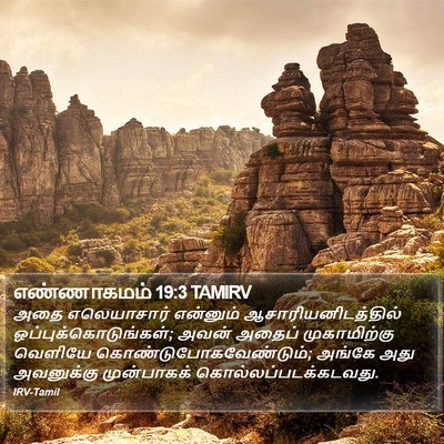 எண்ணாகமம் 19:3 TAMIRV Bible Verse Image