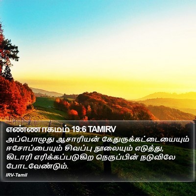 எண்ணாகமம் 19:6 TAMIRV Bible Verse Image