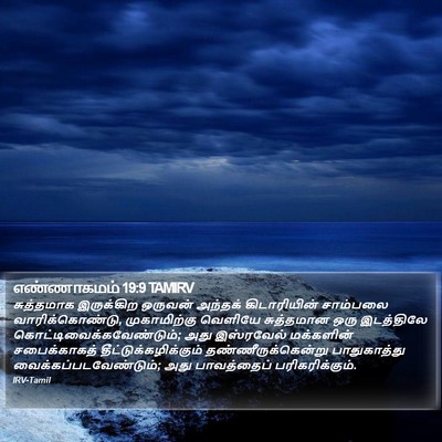 எண்ணாகமம் 19:9 TAMIRV Bible Verse Image