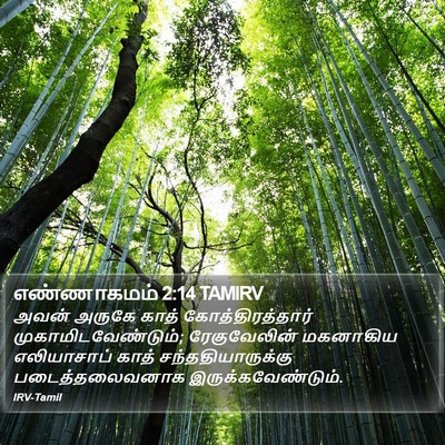 எண்ணாகமம் 2:14 TAMIRV Bible Verse Image
