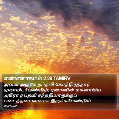 எண்ணாகமம் 2:29 TAMIRV Bible Verse Image