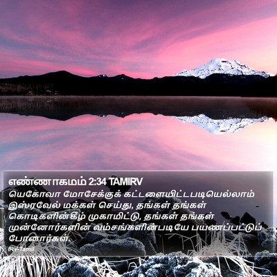 எண்ணாகமம் 2:34 TAMIRV Bible Verse Image