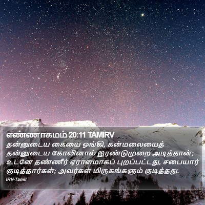 எண்ணாகமம் 20:11 TAMIRV Bible Verse Image