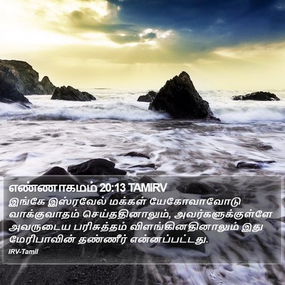 எண்ணாகமம் 20:13 TAMIRV Bible Verse Image
