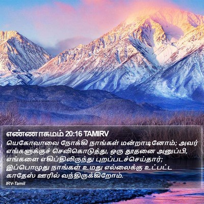 எண்ணாகமம் 20:16 TAMIRV Bible Verse Image