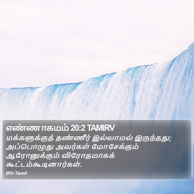 எண்ணாகமம் 20:2 TAMIRV Bible Verse Image
