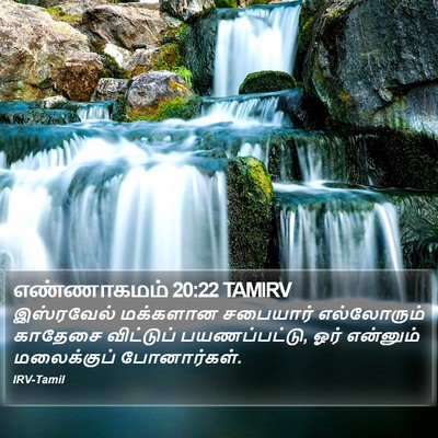 எண்ணாகமம் 20:22 TAMIRV Bible Verse Image