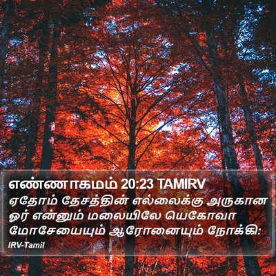 எண்ணாகமம் 20:23 TAMIRV Bible Verse Image