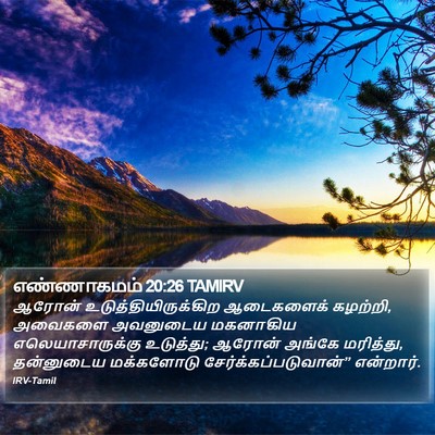 எண்ணாகமம் 20:26 TAMIRV Bible Verse Image