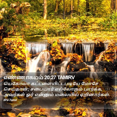 எண்ணாகமம் 20:27 TAMIRV Bible Verse Image