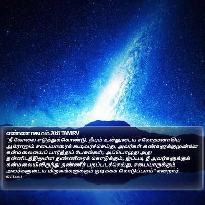 எண்ணாகமம் 20:8 TAMIRV Bible Verse Image