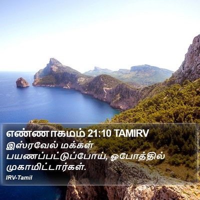 எண்ணாகமம் 21:10 TAMIRV Bible Verse Image