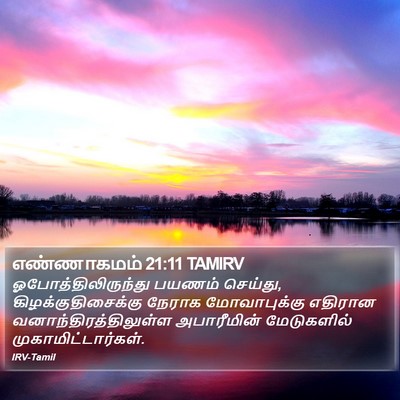 எண்ணாகமம் 21:11 TAMIRV Bible Verse Image
