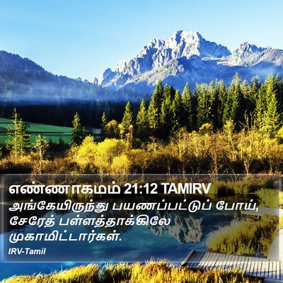 எண்ணாகமம் 21:12 TAMIRV Bible Verse Image