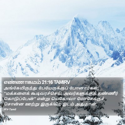 எண்ணாகமம் 21:16 TAMIRV Bible Verse Image