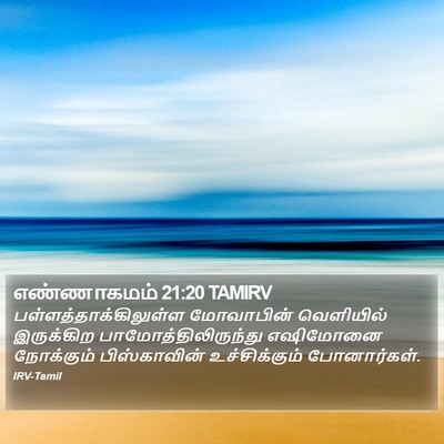 எண்ணாகமம் 21:20 TAMIRV Bible Verse Image
