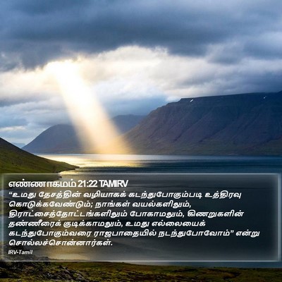 எண்ணாகமம் 21:22 TAMIRV Bible Verse Image