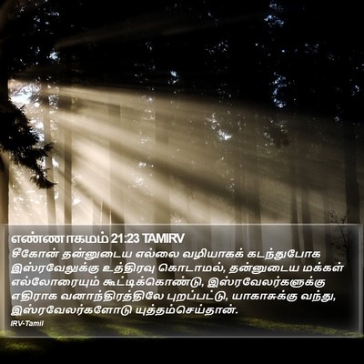எண்ணாகமம் 21:23 TAMIRV Bible Verse Image