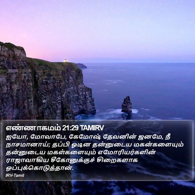 எண்ணாகமம் 21:29 TAMIRV Bible Verse Image