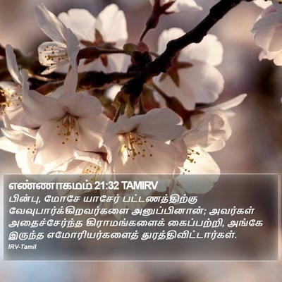 எண்ணாகமம் 21:32 TAMIRV Bible Verse Image