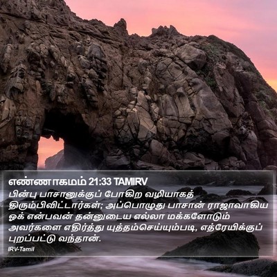 எண்ணாகமம் 21:33 TAMIRV Bible Verse Image