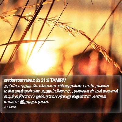 எண்ணாகமம் 21:6 TAMIRV Bible Verse Image