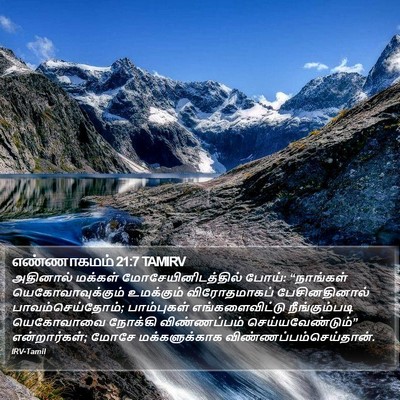 எண்ணாகமம் 21:7 TAMIRV Bible Verse Image