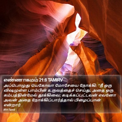 எண்ணாகமம் 21:8 TAMIRV Bible Verse Image