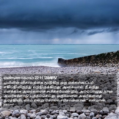 எண்ணாகமம் 22:11 TAMIRV Bible Verse Image