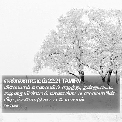 எண்ணாகமம் 22:21 TAMIRV Bible Verse Image