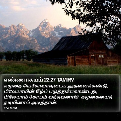எண்ணாகமம் 22:27 TAMIRV Bible Verse Image