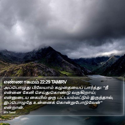 எண்ணாகமம் 22:29 TAMIRV Bible Verse Image