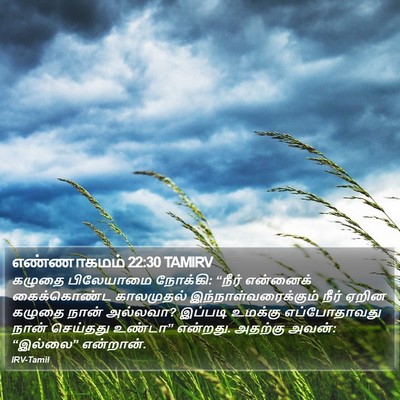 எண்ணாகமம் 22:30 TAMIRV Bible Verse Image