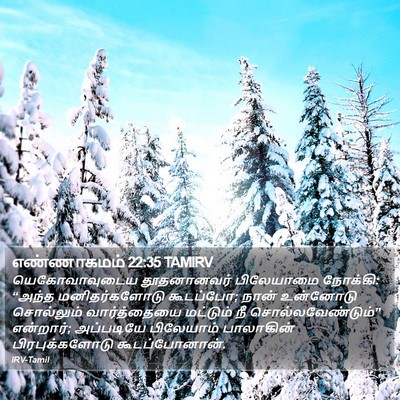 எண்ணாகமம் 22:35 TAMIRV Bible Verse Image
