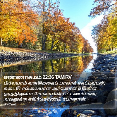 எண்ணாகமம் 22:36 TAMIRV Bible Verse Image