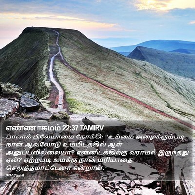 எண்ணாகமம் 22:37 TAMIRV Bible Verse Image
