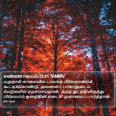 எண்ணாகமம் 22:41 TAMIRV Bible Verse Image