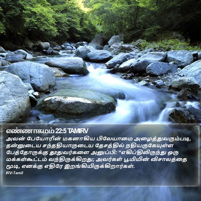 எண்ணாகமம் 22:5 TAMIRV Bible Verse Image