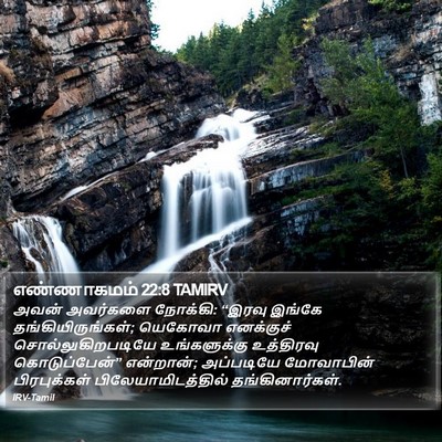 எண்ணாகமம் 22:8 TAMIRV Bible Verse Image