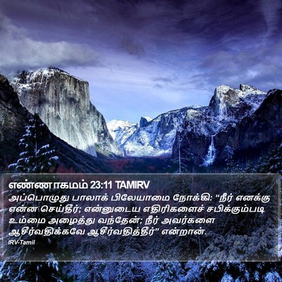 எண்ணாகமம் 23:11 TAMIRV Bible Verse Image