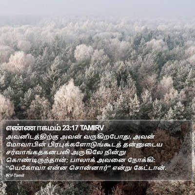 எண்ணாகமம் 23:17 TAMIRV Bible Verse Image