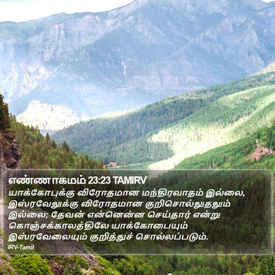 எண்ணாகமம் 23:23 TAMIRV Bible Verse Image