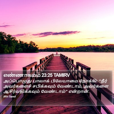 எண்ணாகமம் 23:25 TAMIRV Bible Verse Image